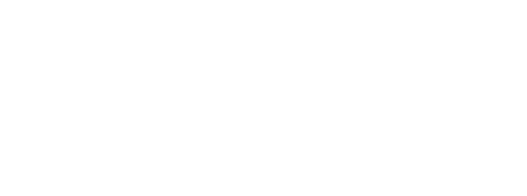 Bekdash company logo
