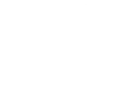 Vtel company logo