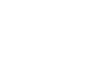 Firefly company logo