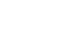 Vtel company logo